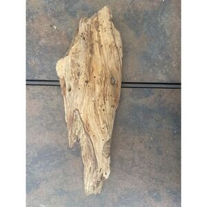Natural Driftwood for Plants Terrarium Taxidermy Art Projects